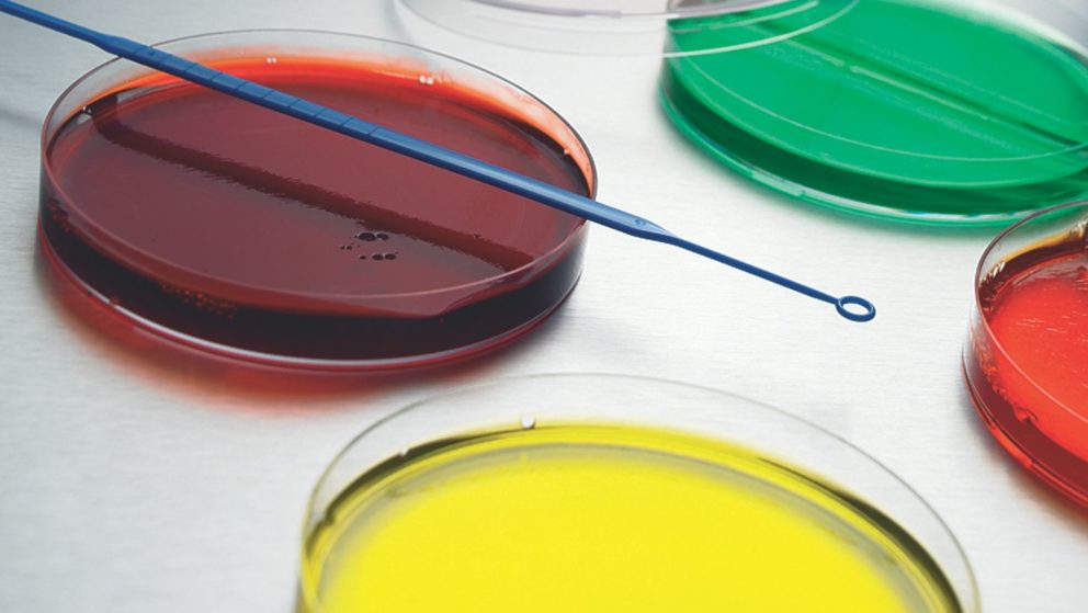 Phd thesis in environmental microbiology