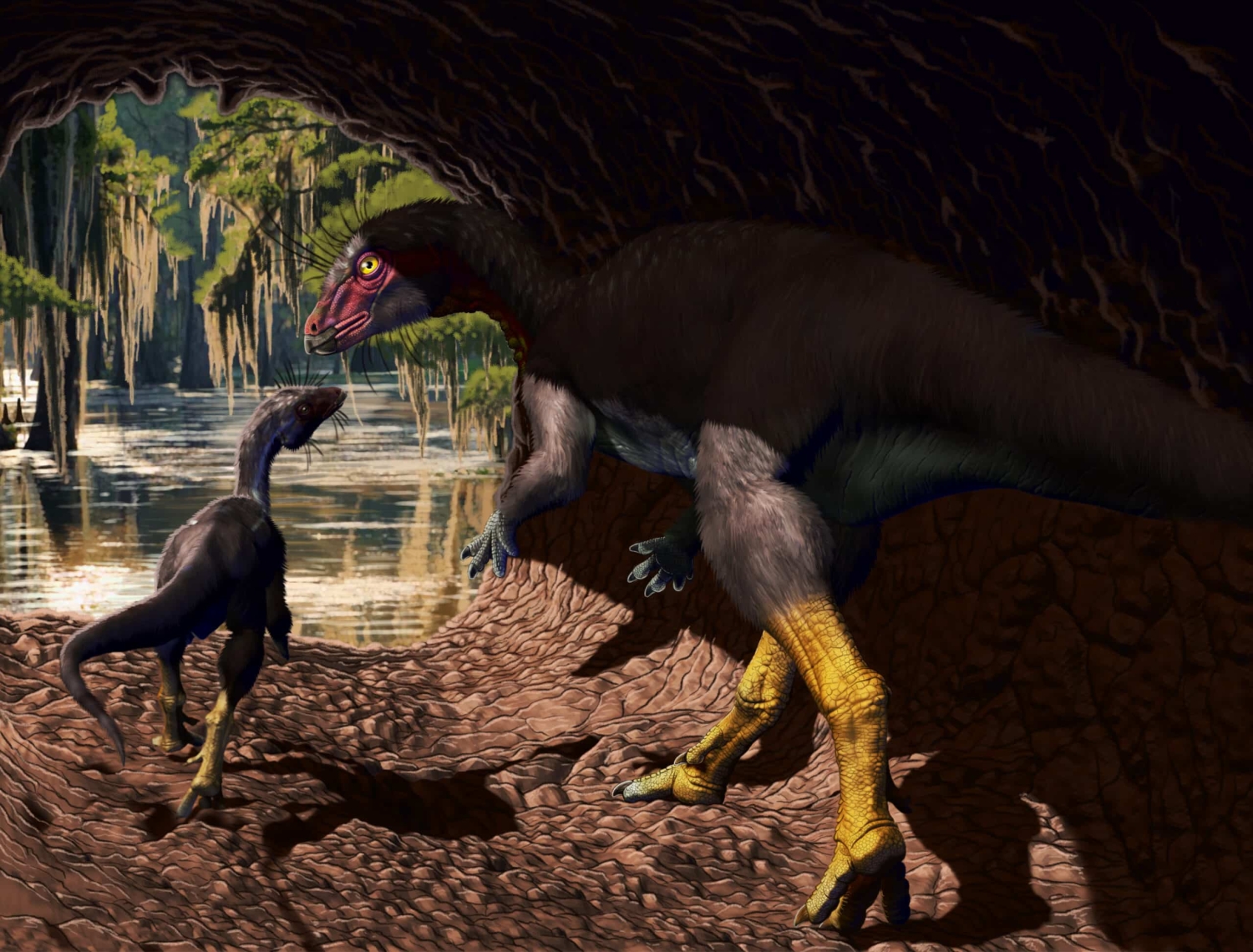 An artistic rendering of a pair of dinosaurs walking through a cave toward a swamp.